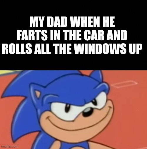 Smug Sonic | MY DAD WHEN HE FARTS IN THE CAR AND ROLLS ALL THE WINDOWS UP | image tagged in smug sonic | made w/ Imgflip meme maker