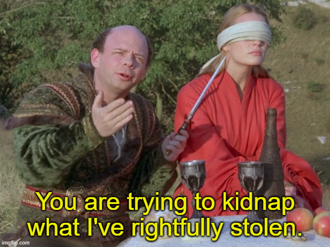 You are trying to kidnap what I've rightfully stolen Blank Meme Template