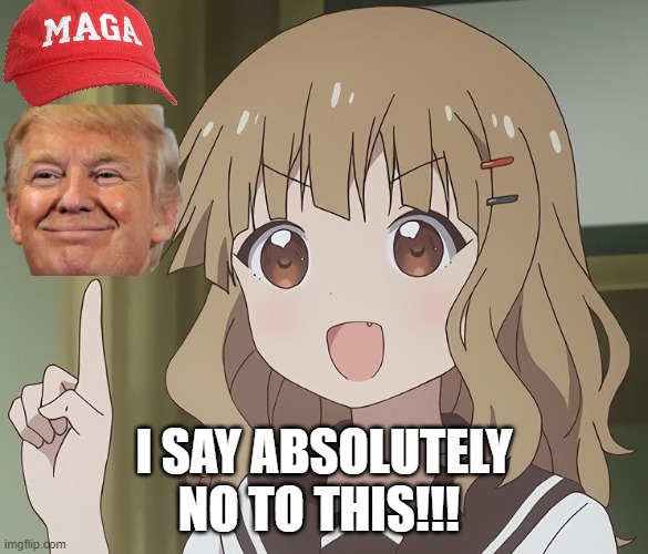 Nope! | I SAY ABSOLUTELY NO TO THIS!!! | image tagged in the person above me,no i don't think i will,maga,donald trump,political memes | made w/ Imgflip meme maker