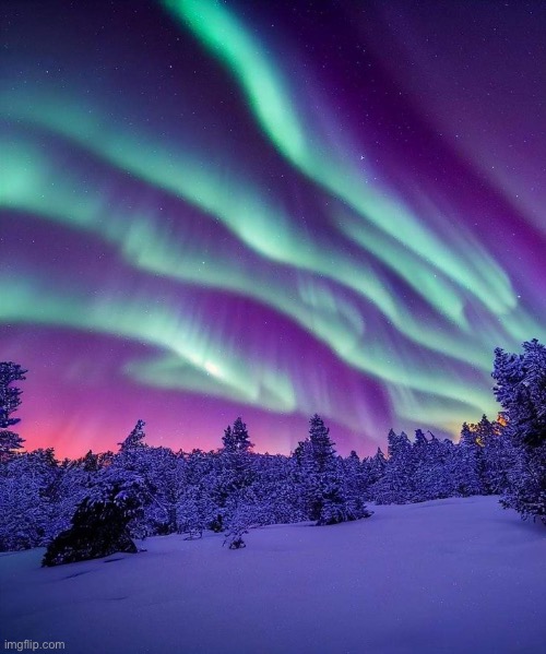 Purple Winter Perfection | image tagged in purple,winter,aurora,beautiful,snow,arctic | made w/ Imgflip meme maker