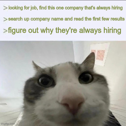 totally not about a warehouse supply company starting with the letter U | looking for job, find this one company that's always hiring; search up company name and read the first few results; figure out why they're always hiring | image tagged in cat looks inside,greentext | made w/ Imgflip meme maker