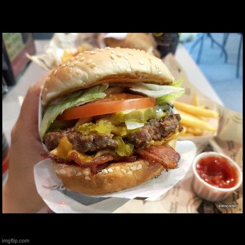 magnificent (not my pic) | image tagged in bacon burger | made w/ Imgflip meme maker