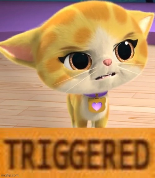 Triggered Sparks | image tagged in blank triggered template,triggered | made w/ Imgflip meme maker