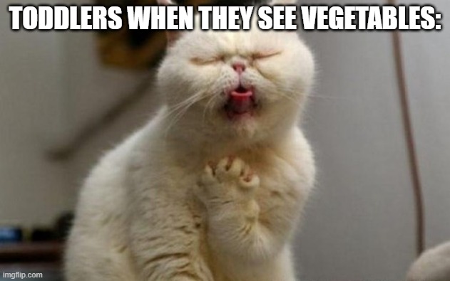 Disgusted Cat | TODDLERS WHEN THEY SEE VEGETABLES: | image tagged in disgusted cat | made w/ Imgflip meme maker
