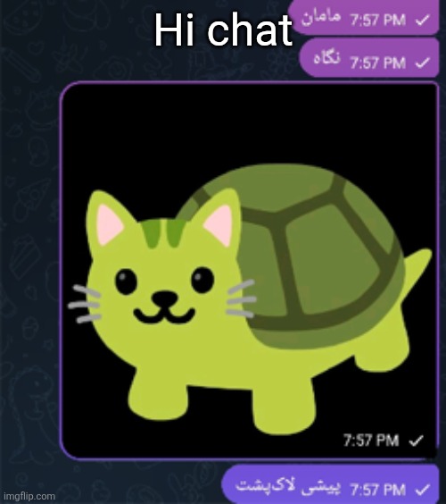پیشی لاک پشت | Hi chat | made w/ Imgflip meme maker