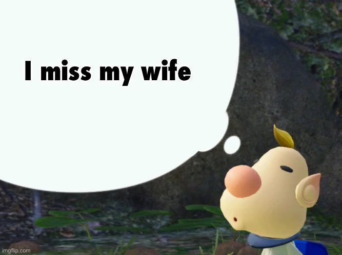 Andrew permabanned Masq for the people who don’t know | I miss my wife | image tagged in louie | made w/ Imgflip meme maker