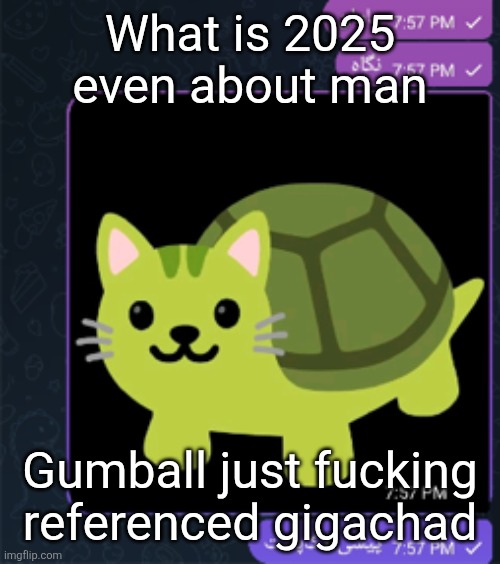 پیشی لاک پشت | What is 2025 even about man; Gumball just fucking referenced gigachad | made w/ Imgflip meme maker