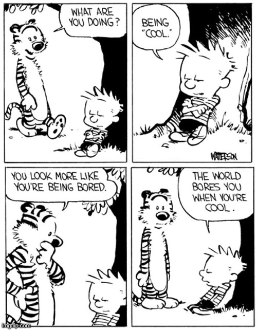 He gets it… he’s cool like that… | image tagged in calvin and hobbes,comics,being cool | made w/ Imgflip meme maker