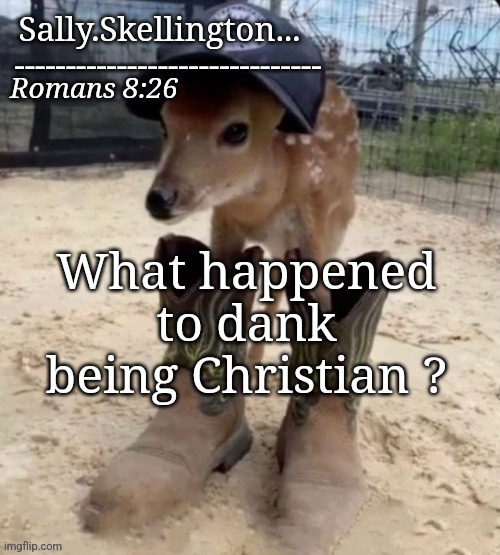 Sally's temp | What happened to dank being Christian ? | image tagged in sally's temp | made w/ Imgflip meme maker