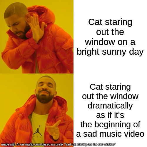 cat | Cat staring out the window on a bright sunny day; Cat staring out the window dramatically as if it's the beginning of a sad music video | image tagged in memes,drake hotline bling | made w/ Imgflip meme maker