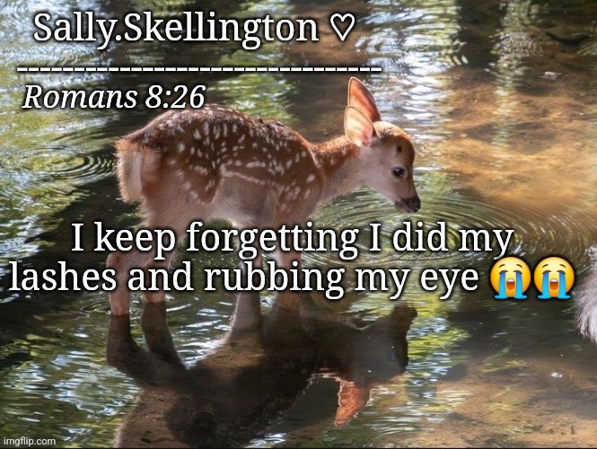 Sally's temp | I keep forgetting I did my lashes and rubbing my eye 😭😭 | image tagged in sally's temp | made w/ Imgflip meme maker