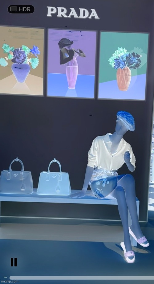 CrooKed Art Gallery | image tagged in fashion,window design,prada,art gallery,flowers,brian einersen | made w/ Imgflip meme maker