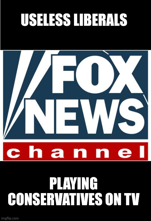 fox news | USELESS LIBERALS; PLAYING CONSERVATIVES ON TV | image tagged in fox news | made w/ Imgflip meme maker