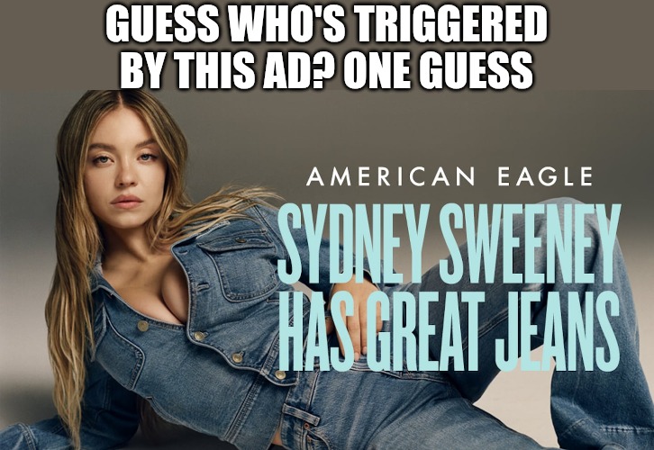 It's the usual suspects. God forbid a beautiful white person be featured in an ad. | GUESS WHO'S TRIGGERED BY THIS AD? ONE GUESS | image tagged in triggered,leftist,karens,racists | made w/ Imgflip meme maker