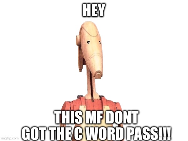 HEY THIS MF DONT GOT THE C WORD PASS!!! | made w/ Imgflip meme maker