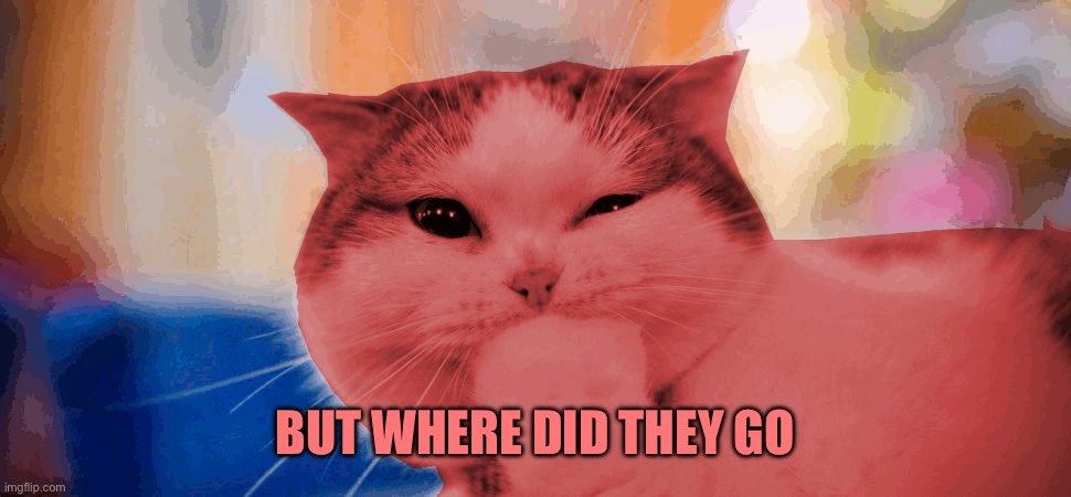 RayCat laughing | BUT WHERE DID THEY GO | image tagged in raycat laughing | made w/ Imgflip meme maker