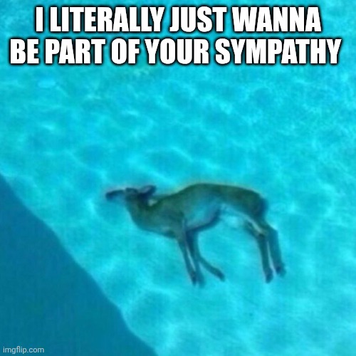 Broken Dolphin | I LITERALLY JUST WANNA BE PART OF YOUR SYMPATHY | image tagged in broken dolphin | made w/ Imgflip meme maker