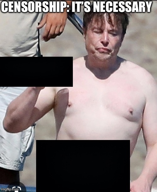 cheers elon | CENSORSHIP: IT’S NECESSARY | image tagged in cheers elon | made w/ Imgflip meme maker