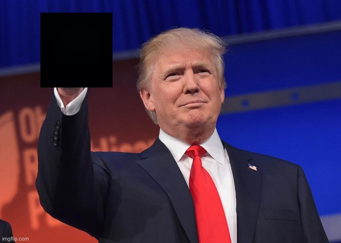 donald trump | image tagged in donald trump | made w/ Imgflip meme maker