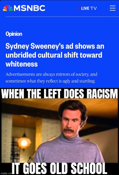 And it's all legal too, so it's as direct as it comes | image tagged in racism,anchorman im impressed,democrats,leftists,identity politics | made w/ Imgflip meme maker