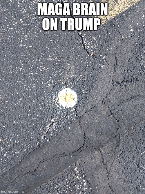 This is your brain | MAGA BRAIN ON TRUMP | image tagged in idiot | made w/ Imgflip meme maker