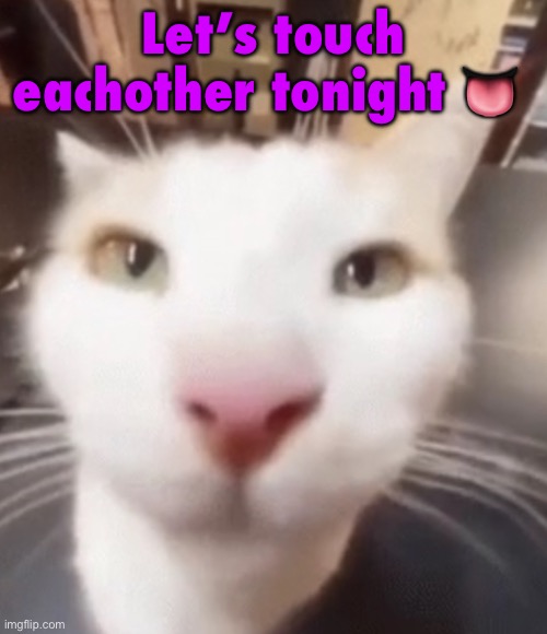 The stare | Let’s touch eachother tonight 👅 | image tagged in the stare | made w/ Imgflip meme maker