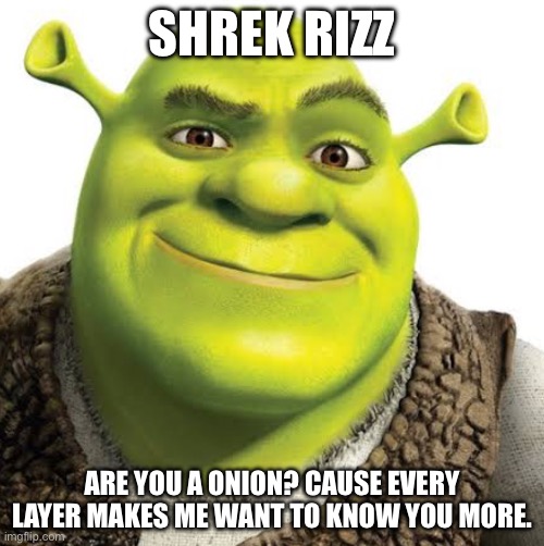 Shrek Rizz | SHREK RIZZ; ARE YOU A ONION? CAUSE EVERY LAYER MAKES ME WANT TO KNOW YOU MORE. | image tagged in shrek,rizz,shrek rizz | made w/ Imgflip meme maker