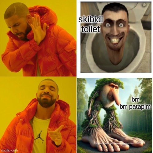 Drake Hotline Bling Meme | skibidi toilet; brr brr patapim | image tagged in memes,drake hotline bling | made w/ Imgflip meme maker