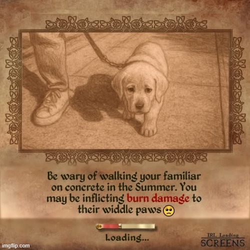 Be mindful of your pets in the summer heat | image tagged in dogs,loading screen | made w/ Imgflip meme maker