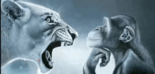 tiger and monkey Blank Meme Template