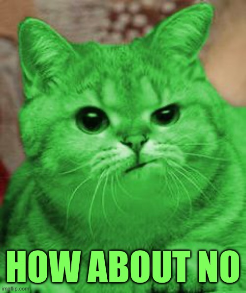 RayCat Annoyed | HOW ABOUT NO | image tagged in raycat annoyed | made w/ Imgflip meme maker
