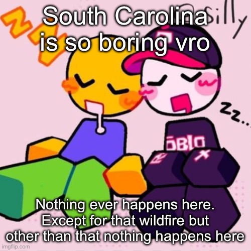 Gayass noob temp | South Carolina is so boring vro; Nothing ever happens here. Except for that wildfire but other than that nothing happens here | image tagged in gayass noob temp | made w/ Imgflip meme maker