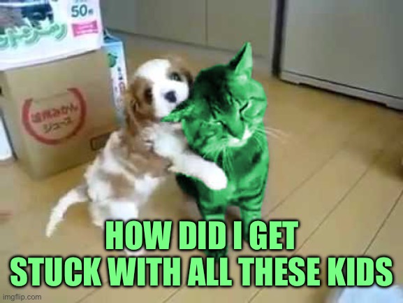 Questioning my choices | HOW DID I GET STUCK WITH ALL THESE KIDS | image tagged in dog biting raycat ear,memes | made w/ Imgflip meme maker