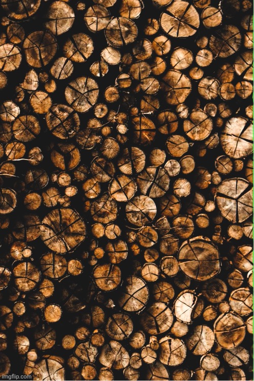 Logs | image tagged in logs | made w/ Imgflip meme maker