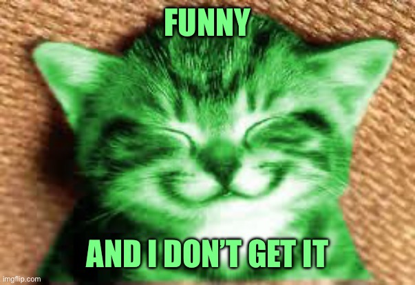 happy RayCat | FUNNY AND I DON’T GET IT | image tagged in happy raycat | made w/ Imgflip meme maker