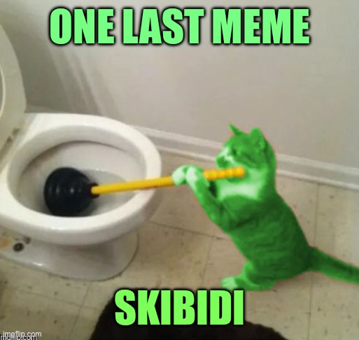 RayCat's toilet | ONE LAST MEME; SKIBIDI | image tagged in raycat's toilet | made w/ Imgflip meme maker