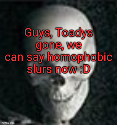 I gtg so this is the last repost for me | Guys, Toadys gone, we can say homophobic slurs now :D | image tagged in skull | made w/ Imgflip meme maker
