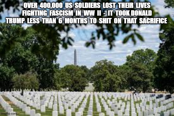 Can't Cover It Up | OVER  400,000  US  SOLDIERS  LOST  THEIR  LIVES  FIGHTING  FASCISM  IN  WW  II  -  IT  TOOK DONALD  TRUMP  LESS  THAN  6  MONTHS  TO  SHIT  ON  THAT  SACRIFICE | made w/ Imgflip meme maker