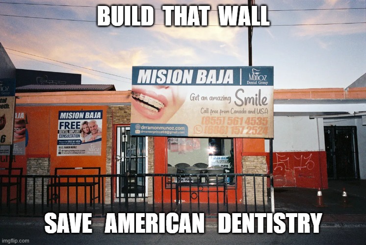 Wooden Plan | BUILD  THAT  WALL; SAVE   AMERICAN   DENTISTRY | image tagged in dentists | made w/ Imgflip meme maker