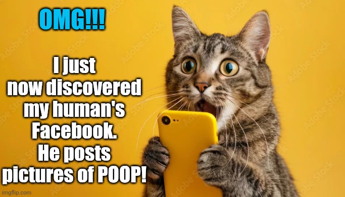 Posting poop | I just now discovered my human's Facebook. He posts pictures of POOP! OMG!!! | image tagged in cat with phone | made w/ Imgflip meme maker