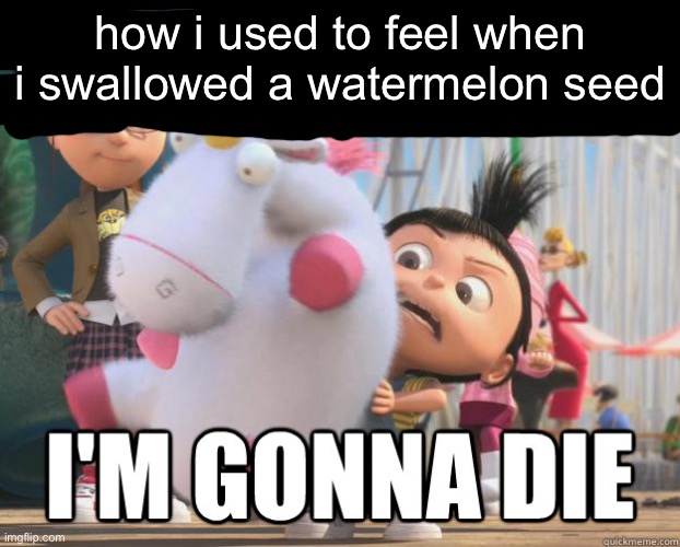 rip yakko (cause of death: eated a watermelon too carelessly) | how i used to feel when i swallowed a watermelon seed | image tagged in so fluffy i'm gonna die | made w/ Imgflip meme maker
