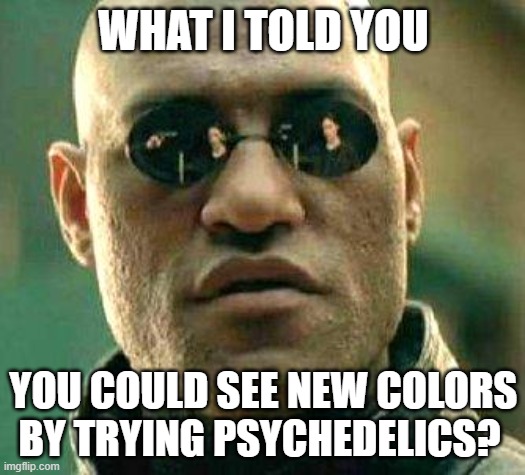 What if i told you | WHAT I TOLD YOU YOU COULD SEE NEW COLORS BY TRYING PSYCHEDELICS? | image tagged in what if i told you | made w/ Imgflip meme maker