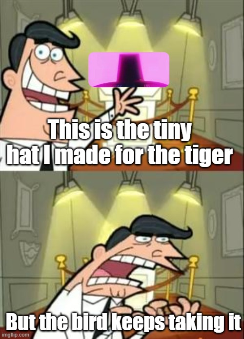 Jinu's tiny tiger hat | This is the tiny hat I made for the tiger; But the bird keeps taking it | image tagged in this is where i'd put my trophy if i had one,kpop demon hunters,sussy the magpie,derpy the tiger,jinu,hat | made w/ Imgflip meme maker