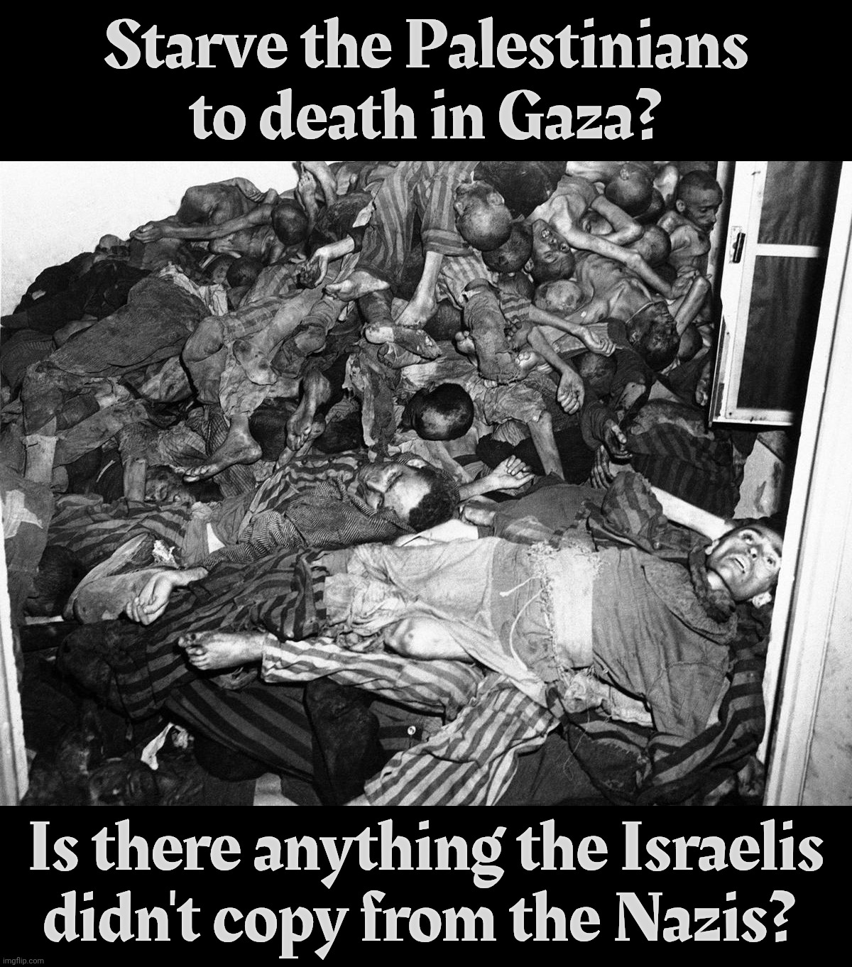 The more things change, the more they kill the same | Starve the Palestinians to death in Gaza? Is there anything the Israelis didn't copy from the Nazis? | image tagged in holocaustvictims | made w/ Imgflip meme maker