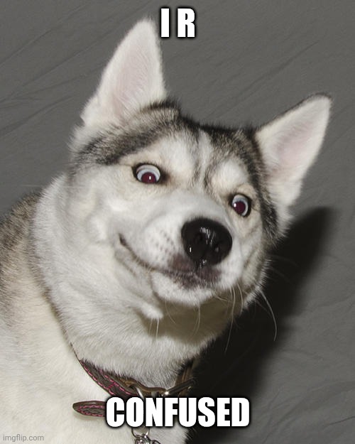 Confused husky | I R; CONFUSED | image tagged in funny,reaction | made w/ Imgflip meme maker
