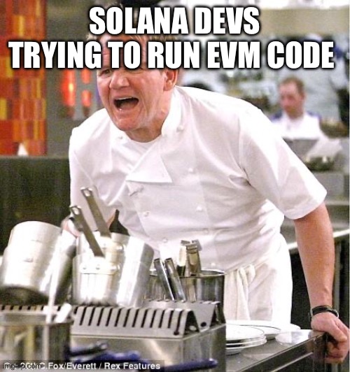 Chef Gordon Ramsay | SOLANA DEVS TRYING TO RUN EVM CODE | image tagged in memes,chef gordon ramsay | made w/ Imgflip meme maker