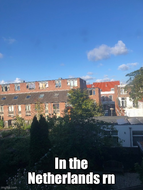 In the Netherlands rn | made w/ Imgflip meme maker