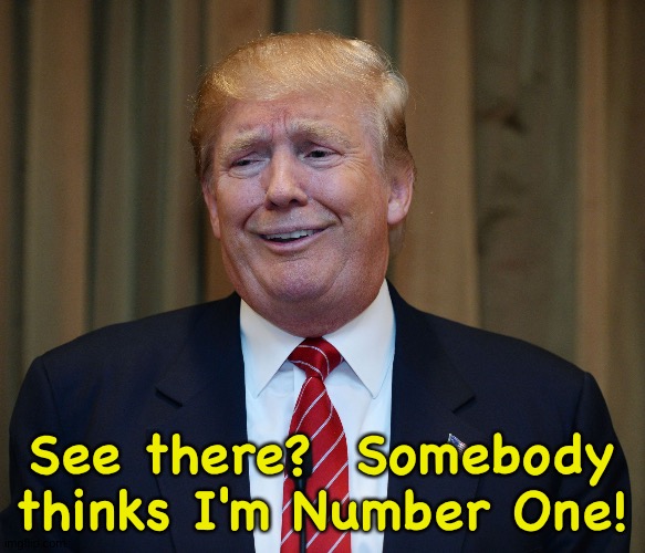 Trump funny face | See there?  Somebody thinks I'm Number One! | image tagged in trump funny face | made w/ Imgflip meme maker