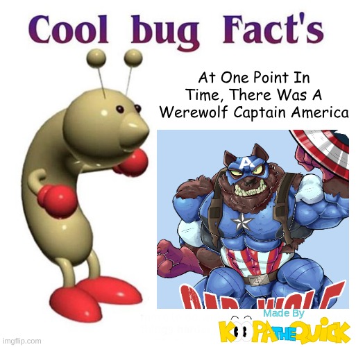 Cool Koop- I Mean, Bug Fact's! | At One Point In Time, There Was A Werewolf Captain America | image tagged in cool bug facts | made w/ Imgflip meme maker