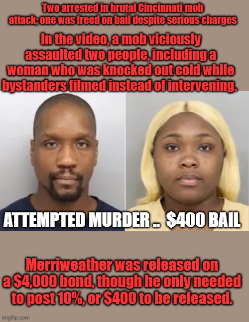 It wasn't a fight, it was attempted murder hate crime. Cities would be burning if Blacks were being attacked | Two arrested in brutal Cincinnati mob attack; one was freed on bail despite serious charges; In the video, a mob viciously assaulted two people, including a woman who was knocked out cold while bystanders filmed instead of intervening. ATTEMPTED MURDER ..  $400 BAIL; Merriweather was released on a $4,000 bond, though he only needed to post 10%, or $400 to be released. | made w/ Imgflip meme maker
